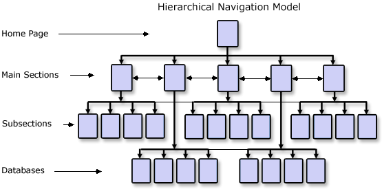 Hierarchical Model
